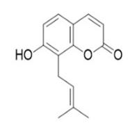 王草酚484-14-0