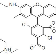 5-羧基-4,7-二氯罗丹明110 5-dR110