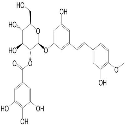 Rhaponticin 2''-O-gallate94356-24-8
