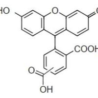 5-羧基罗丹明110 5-CR110 货号322