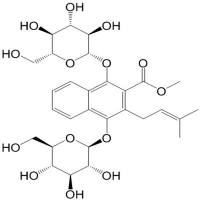 1,4-二羟基-3-异戊烯基-2-萘酸甲酯双葡萄糖苷 90685-26-0
