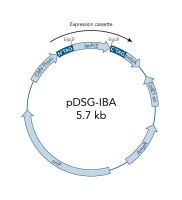 StarGate® Acceptor Vector pDSG-IBA103