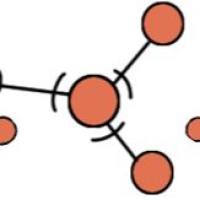 microRNA服务（RNA合成）
