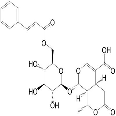 6'-O-肉桂酰基-8-表金吉甘酸1403984-03-1
