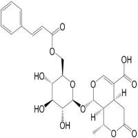6'-O-肉桂酰基-8-表金吉甘酸1403984-03-1