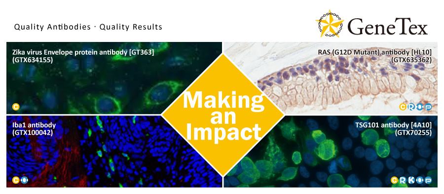 文献引用严选抗体