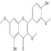 藿香黄酮醇33708-72-4