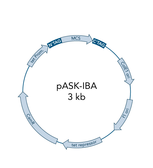pASK-IBA3C