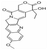 10-甲氧基喜树碱19685-10-0