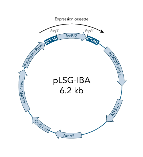 StarGate® Acceptor Vector pLSG-IBA103