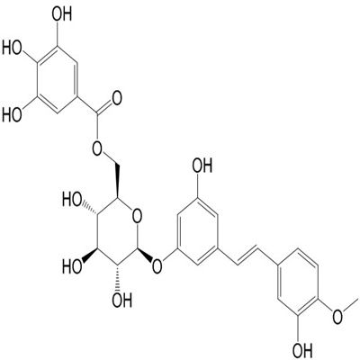 Rhaponticin 6''-O-gallate 94356-23-7