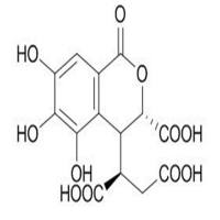 诃子次酸23725-05-5