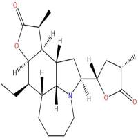 新对叶百部碱143120-46-1