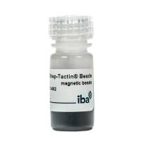 MagStrep® Strep-Tactin® beads磁珠