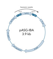 StarGate® Acceptor Vector pASG-IBA103