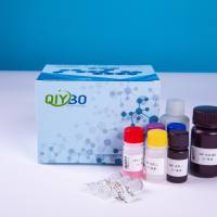 363-24-6*前列腺素 E2 MaxSpec(R) 标准