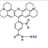 用于PCR反应的ROX 参比染料 50X荧光参比溶液