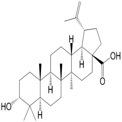 表白桦脂酸（3-表白桦脂酸）38736-77-5