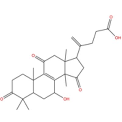 20(21)-脱氢赤芝酸A852936-69-7