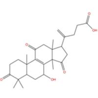 20(21)-脱氢赤芝酸A852936-69-7