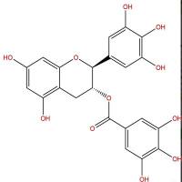 没食子儿茶素没食子酸脂4233-96-9