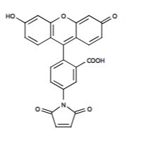 5-TAMRA 马来酰亚胺 四甲基罗丹明-5-马来酰亚胺