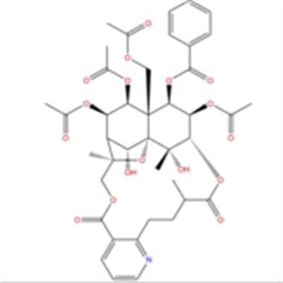 Euojaponine D128397-42-2