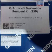 qiagen凯杰一级签约代理商 28306 QIAquick Nucleotide Removal