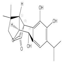 马兜铃内酰胺 IIIa