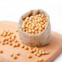 大豆异黄酮含量测定_食品中大豆异黄酮的测定_酱油中大豆异黄酮含量测定