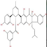 桑根酮D81422-93-7