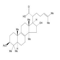 3-O-乙酰基-16α-羟基-氢化松苓酸168293-13-8