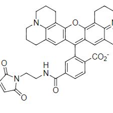 Texas Red-X,琥珀酰亚胺酯 CAS 178623-11-5
