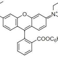 5-TRITC 四甲基罗丹明-5-异硫氰酸 货号416