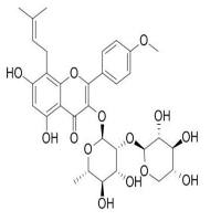 箭藿苷B118525-36-3