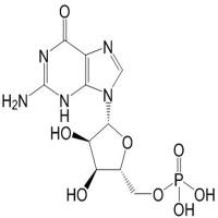 鸟苷酸，鸟嘌呤核苷酸85-32-5