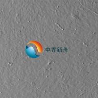 大鼠肺大动脉平滑肌细胞