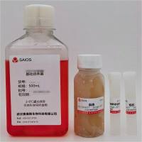 原代星形胶质细胞培养基