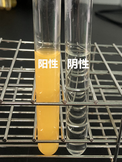 班氏试剂的使用原理及结果判定