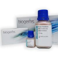 Recombinant Human Transferrin（10gm）