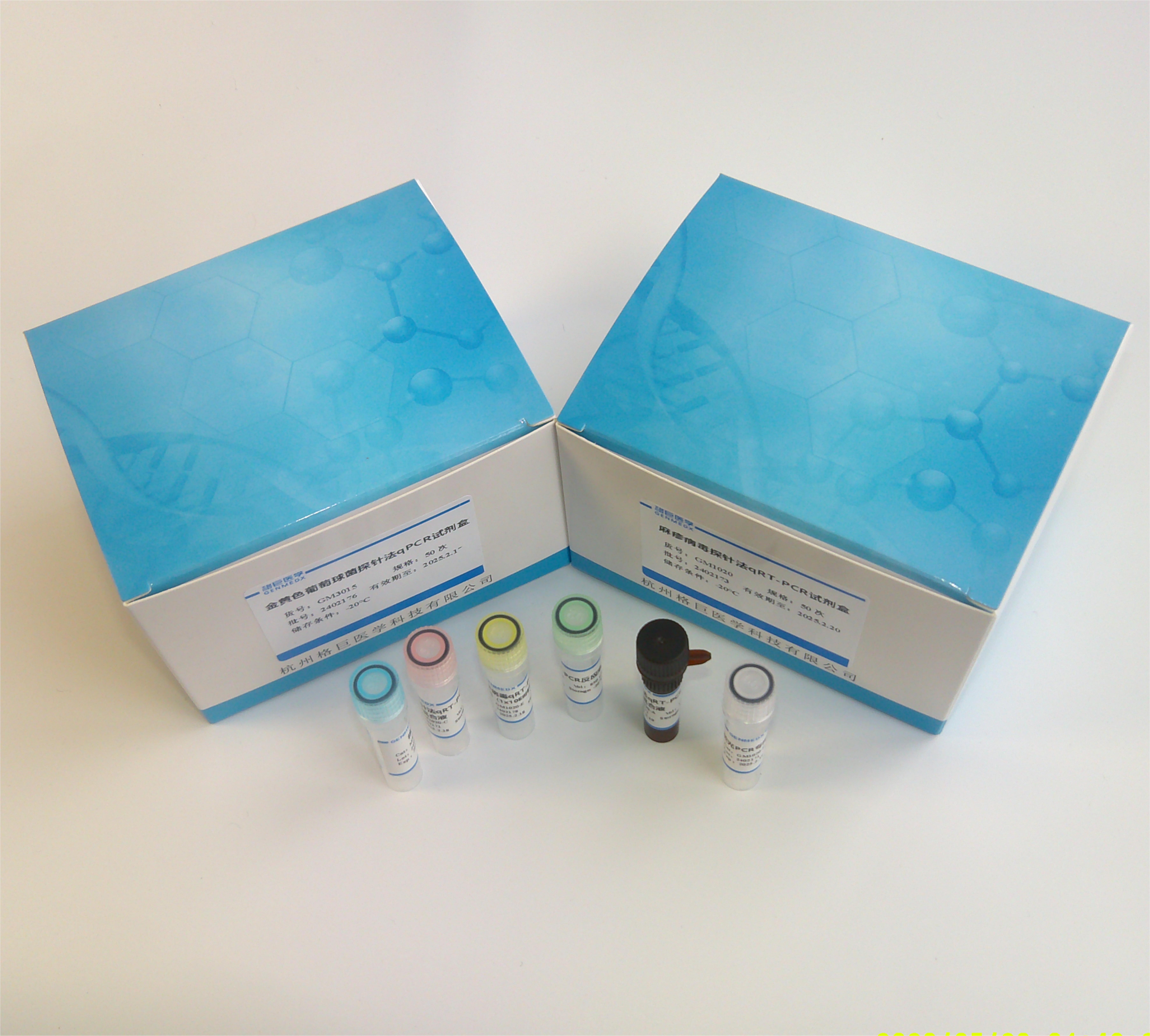 犬细小病毒(CPV-2)探针法荧光定量PCR试剂盒