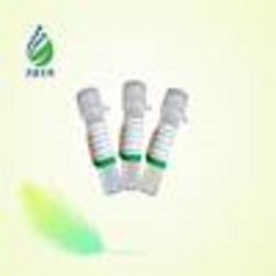 停靠蛋白1(DOK1)重组蛋白