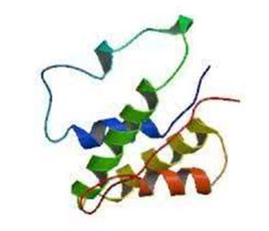 Elabscience靶标解读丨以抗病毒闻名的IFN-γ