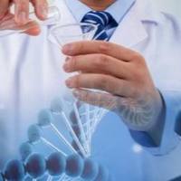 真核转录组测序