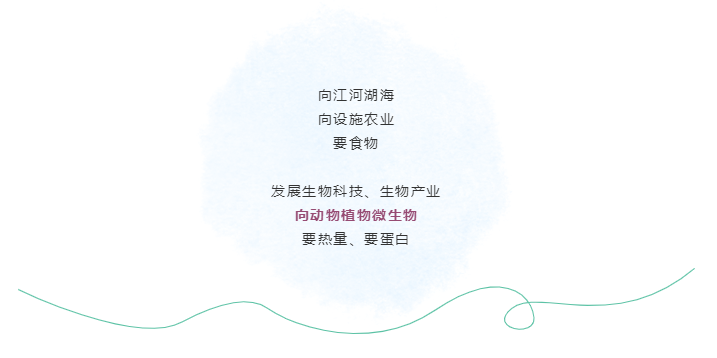 为什么要向微生物要蛋白？