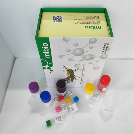 大鼠ELISA试剂盒实验各个步骤需要注意些什么