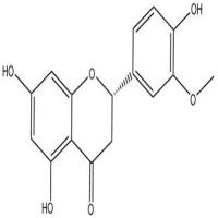 高圣草酚446-71-9