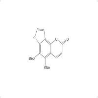 茴芹内酯131-12-4