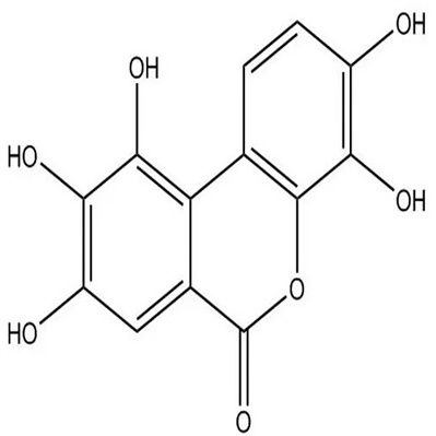 尿石素M591485-02-8