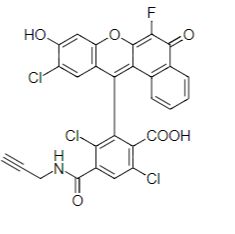 5-FAM 5-羧基荧光素炔烃 货号951